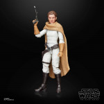 Action Figure: Star Wars: Princess Leia (Black Series) - Princess Leia Organa (2023)