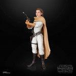 Action Figure: Star Wars: Princess Leia (Black Series) - Princess Leia Organa (2023)