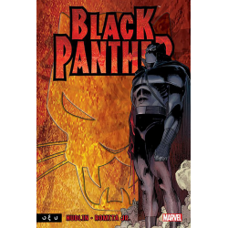 Black panther: Ποιος είναι ο μαύρος πάνθηρας;
