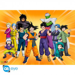 Dragon Ball Poster: Goku's Group