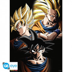 Dragon Ball Poster: Goku transformations
