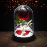 Disney Nightlight: Enchanted Rose (Beauty & the Beast)
