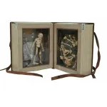 Lord of the Rings Action Figure Box Set: Red Book of Westmarch (SDCC 2021 Exclusive)