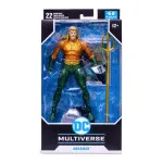 Action Figure: DC MULTIVERSE - Aquaman (Endless Winter)
