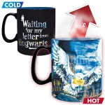 Heat Change Mug: Harry Potter - Hogwarts' letter