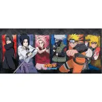 Κούπα: Naruto Shippuden