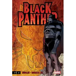 Black panther: Ποιος είναι ο μαύρος πάνθηρας;